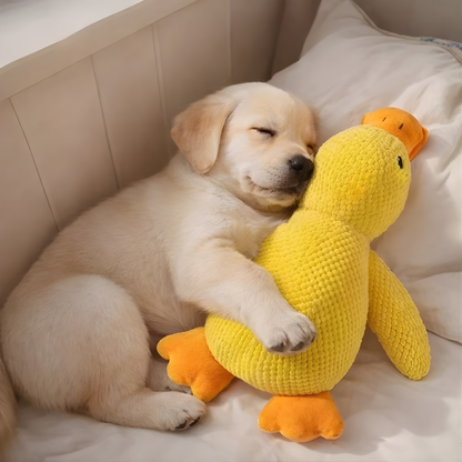 Calmer Duck Plush