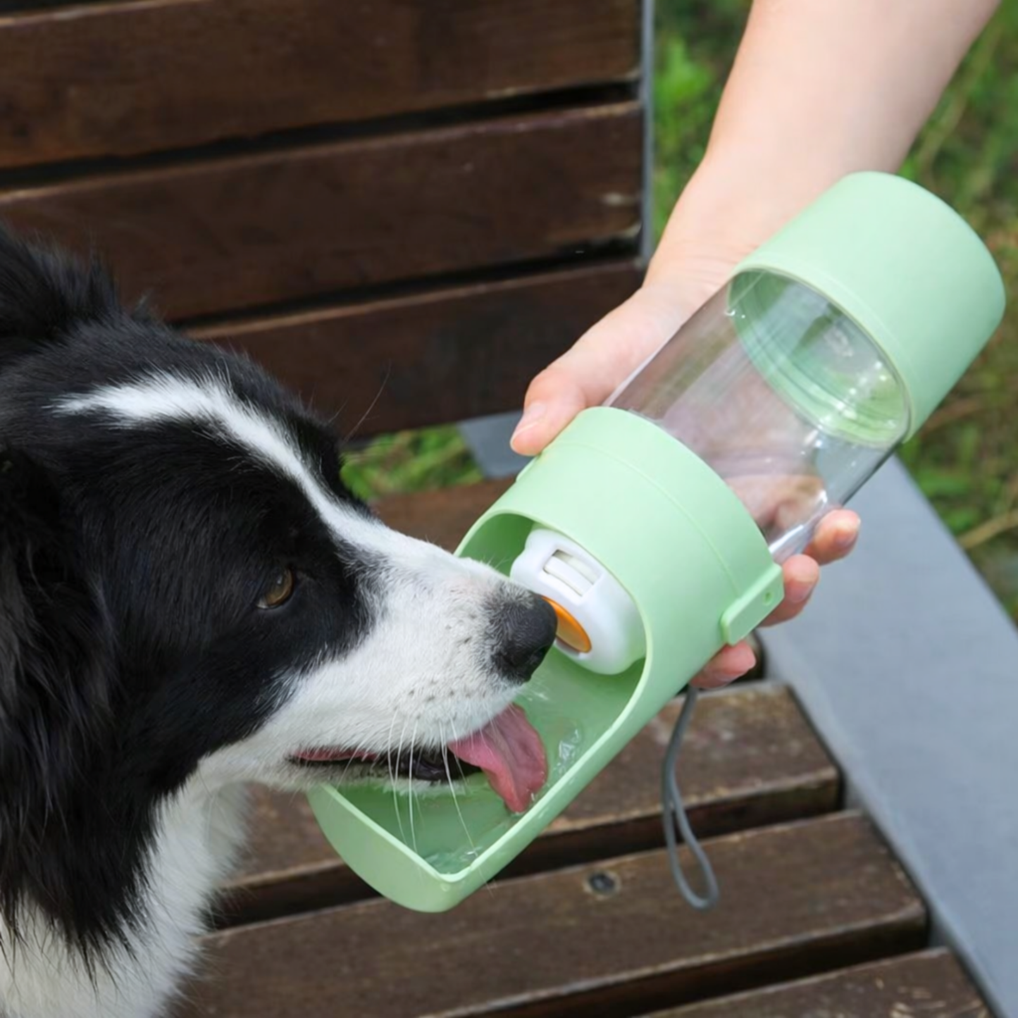 Collapsible Water Bottle